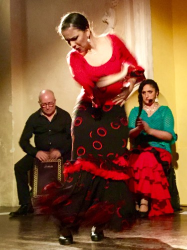 제목이 "Danse Flamenca"인 사진 Kirlian로, 원작, 디지털