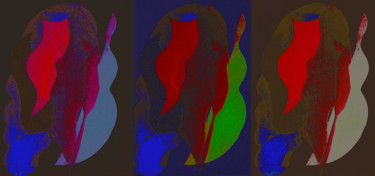 Digital Arts titled "TriptKolla" by Kirlian, Original Artwork, Digital Painting