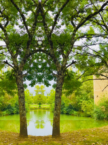 Fotografie mit dem Titel "L’Appel de la Forêt" von Kirlian, Original-Kunstwerk, Analog Fotografie