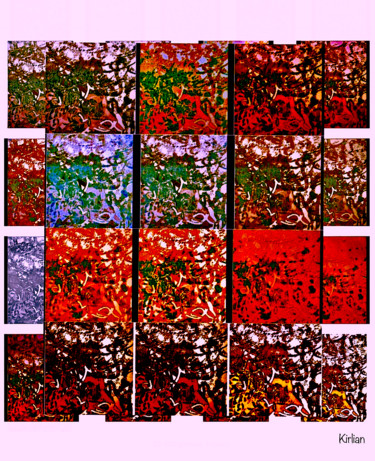 Arts numériques intitulée "Raméal Fragmenté" par Kirlian, Œuvre d'art originale, Photo montage