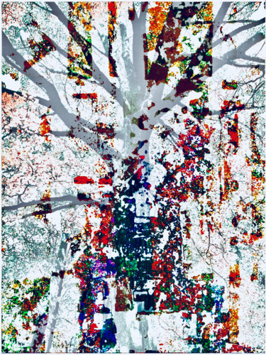 Arts numériques intitulée "Rhizome" par Kirlian, Œuvre d'art originale, Photo montage