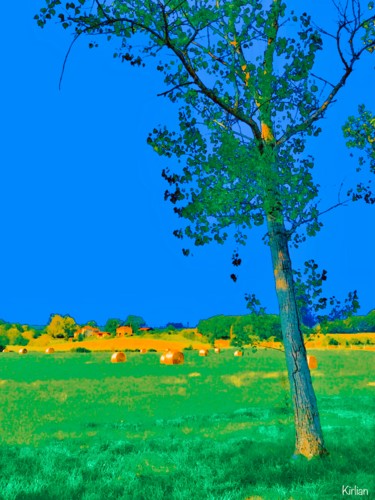 Après la moisson. #artistsupportpledge Arts numériques intitulée "Après la moisson. #…" par Kirlian, Œuvre d'art originale, Travail numérique 2D