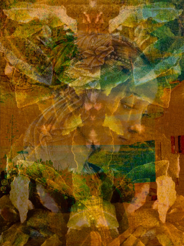 Цифровое искусство под названием "Fleur vénitienne" - Kirlian, Подлинное произведение искусства, Фотомонтаж