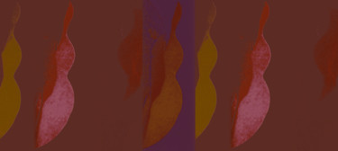 Grafika cyfrowa / sztuka generowana cyfrowo zatytułowany „Frames” autorstwa Kirlian, Oryginalna praca, Malarstwo cyfrowe