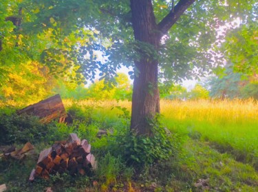 Photographie intitulée "Le Pré est dans le…" par Kirlian, Œuvre d'art originale, Photographie non manipulée