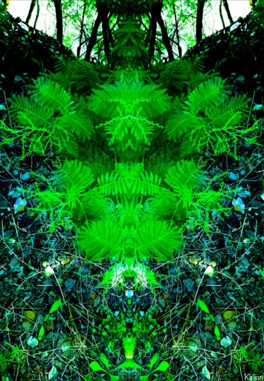 Le Seigneur des Fougères, Photographie Nature Arts numériques intitulée "Le Seigneur des Fou…" par Kirlian, Œuvre d'art originale, Photo montage