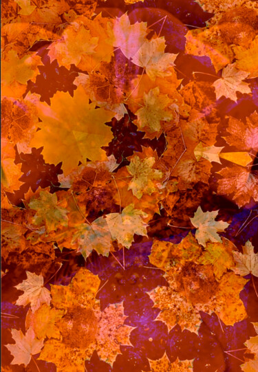 Фотография под названием "Autumn leaves / Pho…" - Kirlian, Подлинное произведение искусства, Манипулированная фотография