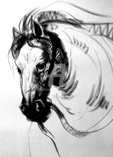 Painting titled "Horse03" by Kishore Singh, Original Artwork