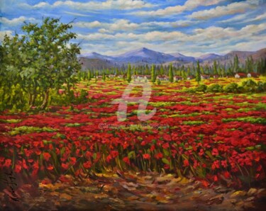Painting titled "Poppy field" by Kishore Singh, Original Artwork, Oil