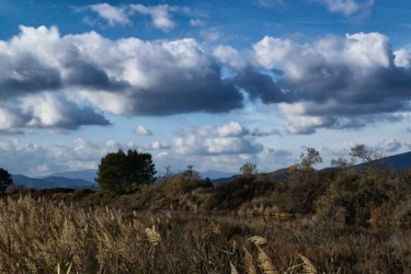 Photographie intitulée "Paysage des salins" par Jean Marc Kokel, Œuvre d'art originale