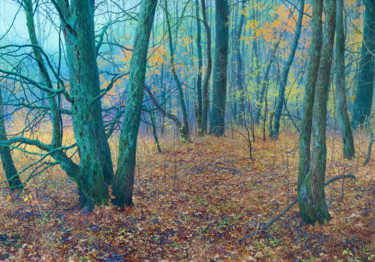 Painting titled "Дивный лес." by Iurii Klapoukh, Original Artwork, Oil