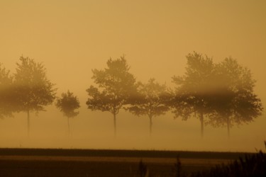 Fotografía titulada "foggy landscape wit…" por Klaus Vartzbed, Obra de arte original