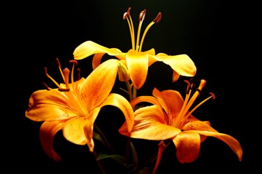 Fotografia intitolato "lilies" da Klaus Vartzbed, Opera d'arte originale