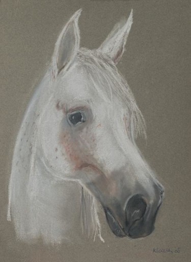 Tekening getiteld "Horse" door Klazien De Vries, Origineel Kunstwerk
