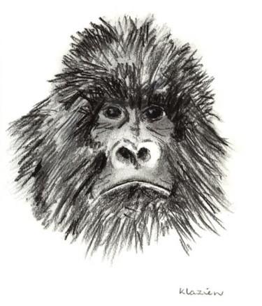 Tekening getiteld "Gorilla" door Klazien De Vries, Origineel Kunstwerk