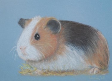 Dessin intitulée "Guinea Pig" par Klazien De Vries, Œuvre d'art originale