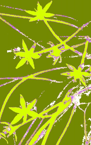 Wildflowers 100g2 Photographie intitulée "Wildflowers 100g2" par Ken Lerner, Œuvre d'art originale, Photographie numérique