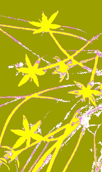 Wildflowers 100g3 Photographie intitulée "Wildflowers 100g3" par Ken Lerner, Œuvre d'art originale, Photographie numérique