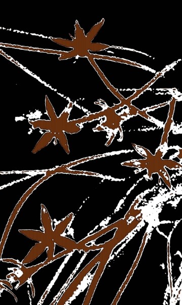 Wildflowers 100g12 Photography titled "Wildflowers 100g12" by Ken Lerner, Original Art, Digital Photography