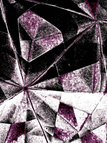 Crystal Entities 100x2 Photographie intitulée "Crystal Entities 10…" par Ken Lerner, Œuvre d'art originale, Photographie numérique