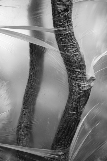 Fotografie getiteld "Wind" door Dmitriy Kochergin, Origineel Kunstwerk, Digitale fotografie