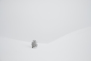 Fotografie mit dem Titel "Frozen Dunes #3" von Dmitriy Kochergin, Original-Kunstwerk, Digitale Fotografie