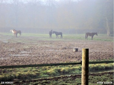 Fotografie getiteld "SIX HORSES" door Koen Vlerick, Origineel Kunstwerk