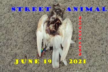 Digital Arts titled "STREET ANIMAL JUNE…" by Koen Vlerick, Original Artwork, 2D Digital Work