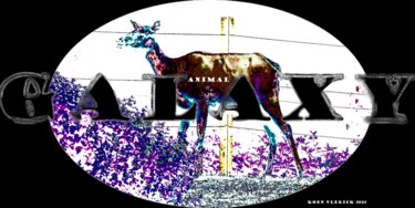 Grafika cyfrowa / sztuka generowana cyfrowo zatytułowany „ANIMAL GALAXY” autorstwa Koen Vlerick, Oryginalna praca, 2D praca…
