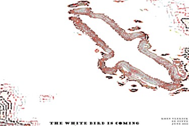 Digital Arts titled "THE WHITE BIRD IS C…" by Koen Vlerick, Original Artwork, 2D Digital Work