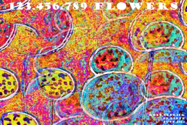 Arte digitale intitolato "123.456.789 FLOWERS" da Koen Vlerick, Opera d'arte originale, Lavoro digitale 2D