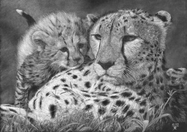 Dessin intitulée "123-cheetah-guepard…" par Kofkof, Œuvre d'art originale