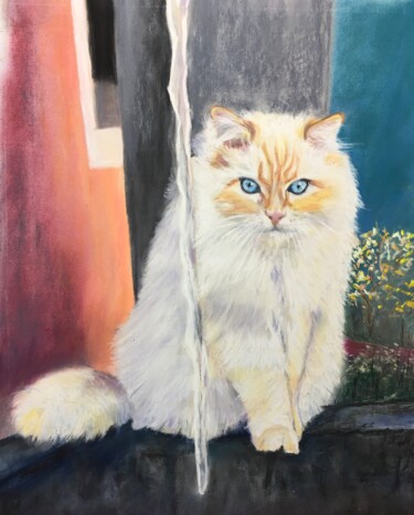 Dessin intitulée "Kibou le chat" par Koki, Œuvre d'art originale, Pastel Monté sur artwork_cat.