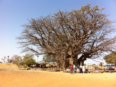 Фотография под названием "Le plus gros Baobab…" - Koki, Подлинное произведение искусства