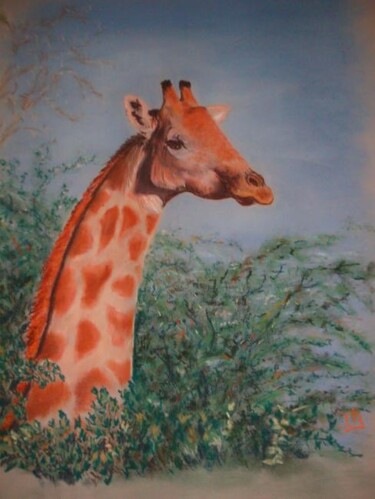 Drawing titled "girafe" by Koki, Original Artwork, Other