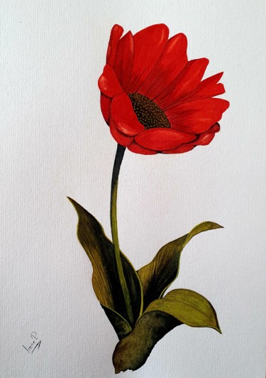 Painting titled "flor roja acuarela" by Irene Pestana Eliche, Original Artwork, Watercolor
