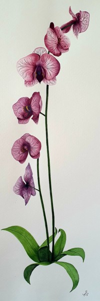Malarstwo zatytułowany „orquídea violeta” autorstwa Irene Pestana Eliche, Oryginalna praca, Akwarela