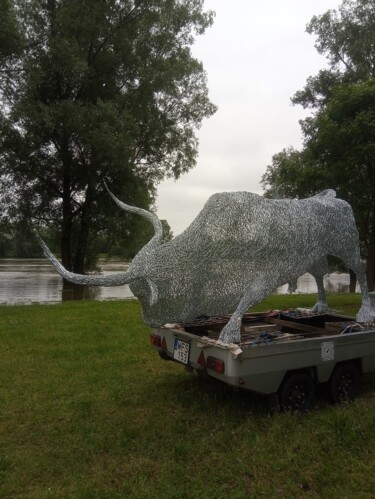 Sculpture titled "Gray cattle bull" by Komaromi Laszlo, Original Artwork, Metals
