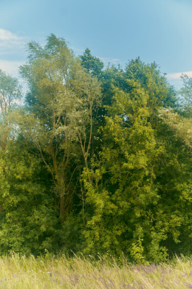 Fotografia zatytułowany „TIRED WINDS” autorstwa Konstantin Lorelei, Oryginalna praca, Fotografia cyfrowa