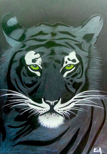 Drawing titled "Tiger 🐅 Louis" by Evangelina, Original Artwork, Pencil