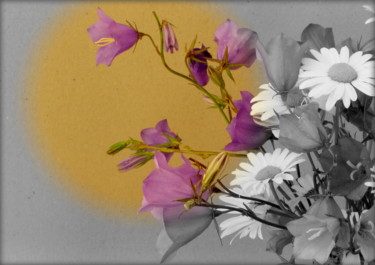 Фотография под названием "Bouquet of meadow f…" - Korshum, Подлинное произведение искусства