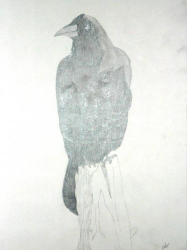 Drawing titled "Raven" by Jonathan Cole, Original Artwork