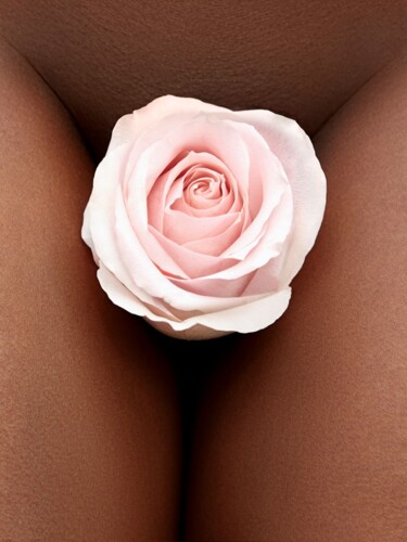 Photographie intitulée "Flower, I" par Kourosh Sotoodeh, Œuvre d'art originale, Photographie numérique