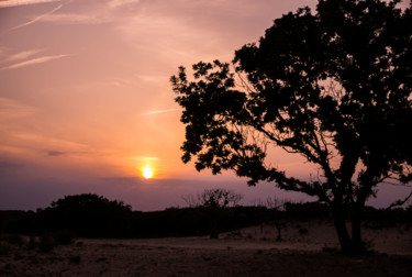 Fotografie mit dem Titel "Sunset with tree si…" von Wouter Kouwenberg, Original-Kunstwerk