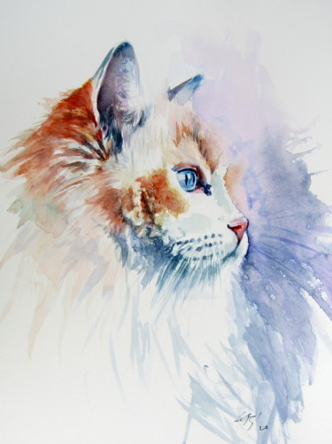 Pintura titulada "Cat portrait III" por Anna Brigitta Kovacs (KAB), Obra de arte original, Acuarela