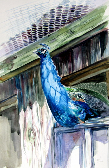 Malerei mit dem Titel "Peacock" von Anna Brigitta Kovacs (KAB), Original-Kunstwerk, Aquarell