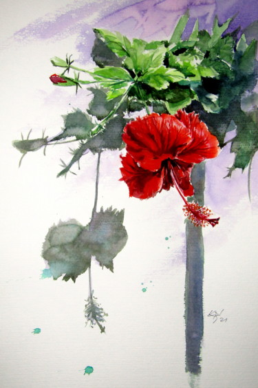 Peinture intitulée "Hibiscus" par Anna Brigitta Kovacs (KAB), Œuvre d'art originale, Aquarelle