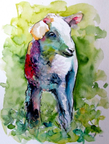 Malarstwo zatytułowany „Cute lamb” autorstwa Anna Brigitta Kovacs (KAB), Oryginalna praca, Akwarela