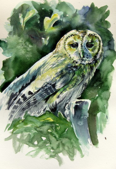 Pittura intitolato "Majestic owl II" da Anna Brigitta Kovacs (KAB), Opera d'arte originale, Acquarello