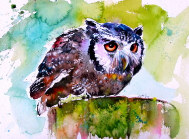 Painting titled "Resting owl" by Anna Brigitta Kovacs (KAB), Original Artwork, Watercolor